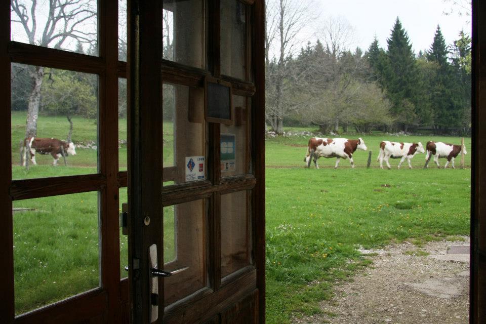 Auberge De La Perdrix Hauterive-la-Fresse Esterno foto