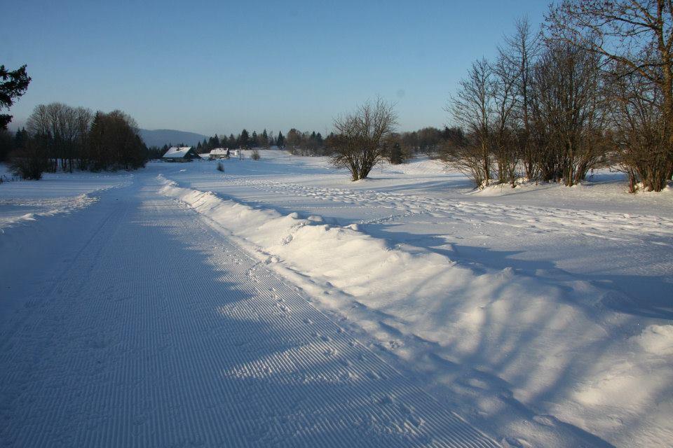 Auberge De La Perdrix Hauterive-la-Fresse Esterno foto