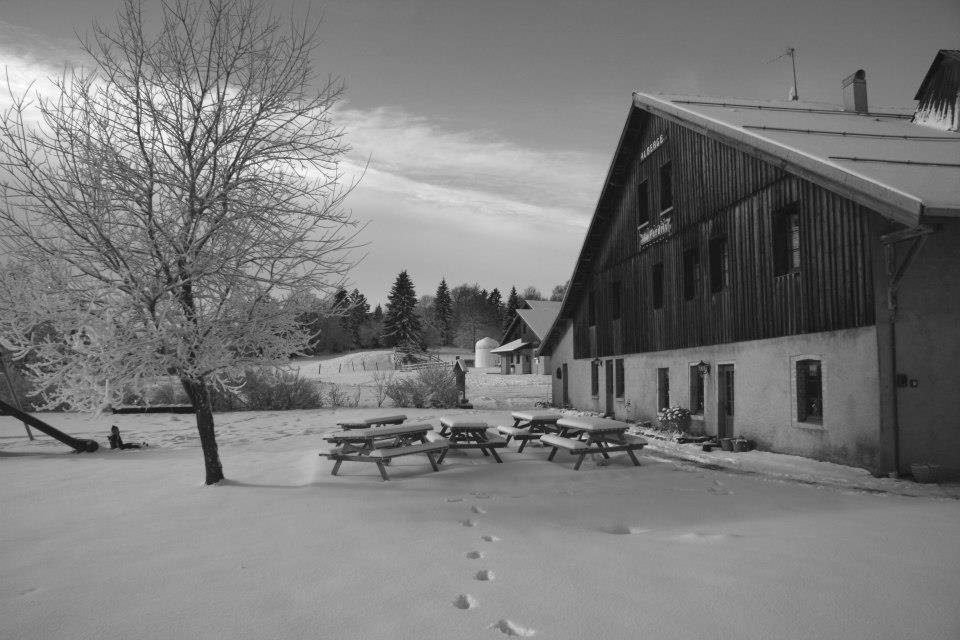 Auberge De La Perdrix Hauterive-la-Fresse Esterno foto