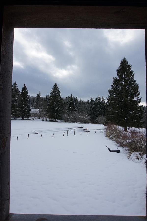 Auberge De La Perdrix Hauterive-la-Fresse Esterno foto